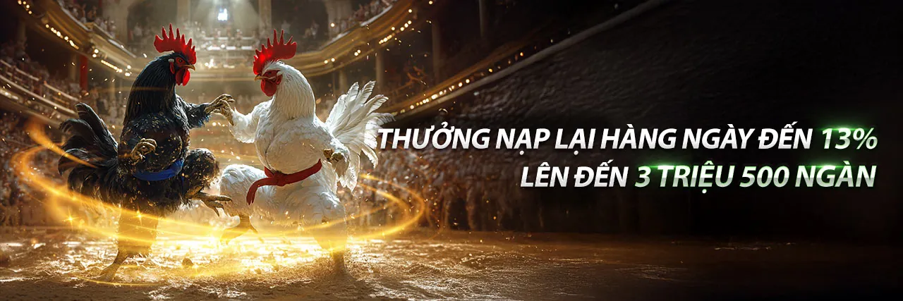 Chính sách cookie quan trọng tại nhà cái cl88